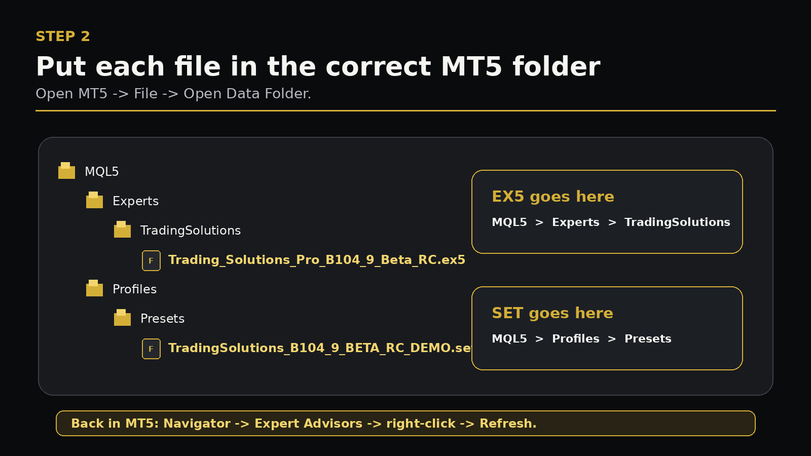 Correct MT5 file folders