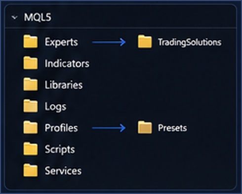 MQL5 folder layout for Experts and Presets
